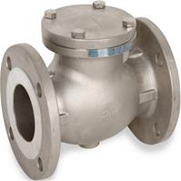 Stainless Steel 316 Swing Check Valve, Class 150, Flanged/Van 1  hiều lá lật Thép 
